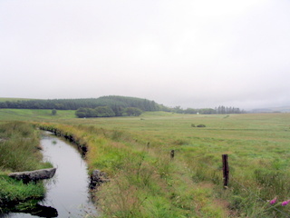 2005-07-24-11-25-01_princetown_duckspool_july_05-002_princetown_duckspool.jpg  princetown_duckspool 