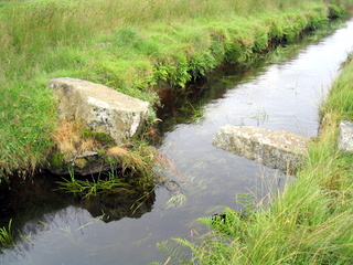 2005-07-24-11-29-28_princetown_duckspool_july_05-003_princetown_duckspool.jpg  princetown_duckspool 