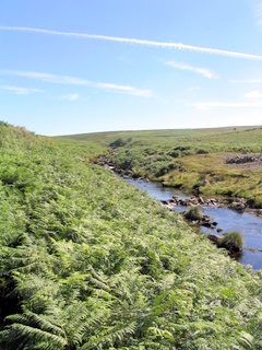 2005-08-07-11-18-48_cadover_hartor_ringmoor_wigford_aug_05-003_cadover_plym_hartor_gutter_ringmoor_wigford.jpg 2005-08-07-11-18-48_cadover_hartor_ringmoor_wigford_aug_05-003_cadover_plym_hartor_gutter_ringmoor_wigford.jpg cadover_plym_hartor_gutter_ringmoor_wigford