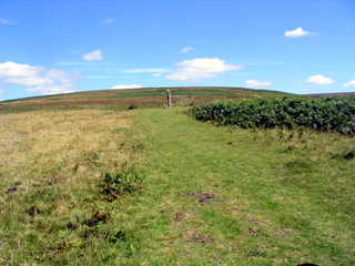 2005-08-07-12-18-22_cadover_hartor_ringmoor_wigford_aug_05-007_cadover_plym_hartor_gutter_ringmoor_wigford.jpg 2005-08-07-12-18-22_cadover_hartor_ringmoor_wigford_aug_05-007_cadover_plym_hartor_gutter_ringmoor_wigford.jpg cadover_plym_hartor_gutter_ringmoor_wigford