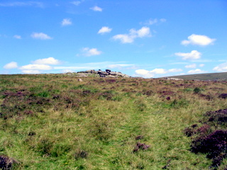2005-08-07-12-49-21_cadover_hartor_ringmoor_wigford_aug_05-009_cadover_plym_hartor_gutter_ringmoor_wigford.jpg 2005-08-07-12-49-21_cadover_hartor_ringmoor_wigford_aug_05-009_cadover_plym_hartor_gutter_ringmoor_wigford.jpg cadover_plym_hartor_gutter_ringmoor_wigford