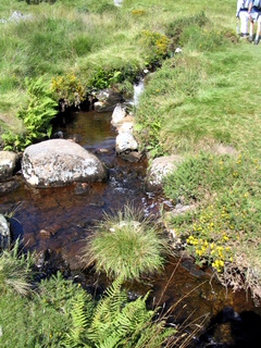 2005-08-17-10-52-21_postbridge_fur_tor_aug_05-005_postbridge_firtor.jpg 2005-08-17-10-52-21_postbridge_fur_tor_aug_05-005_postbridge_firtor.jpg postbridge_firtor