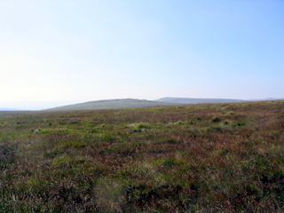 2005-08-17-11-27-06_postbridge_fur_tor_aug_05-006_postbridge_firtor.jpg 2005-08-17-11-27-06_postbridge_fur_tor_aug_05-006_postbridge_firtor.jpg postbridge_firtor
