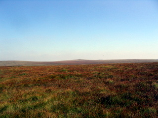 2005-08-17-11-36-14_postbridge_fur_tor_aug_05-008_postbridge_firtor.jpg 2005-08-17-11-36-14_postbridge_fur_tor_aug_05-008_postbridge_firtor.jpg postbridge_firtor
