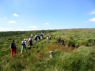 2005-08-17-12-29-00_postbridge_fur_tor_aug_05-013_postbridge_firtor.jpg 2005-08-17-12-29-00_postbridge_fur_tor_aug_05-013_postbridge_firtor.jpg postbridge_firtor