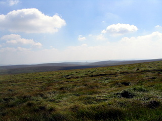 2005-08-17-14-11-38_postbridge_fur_tor_aug_05-029_postbridge_firtor.jpg 2005-08-17-14-11-38_postbridge_fur_tor_aug_05-029_postbridge_firtor.jpg postbridge_firtor