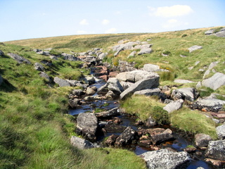 2005-08-17-15-25-22_postbridge_fur_tor_aug_05-032_postbridge_firtor.jpg 2005-08-17-15-25-22_postbridge_fur_tor_aug_05-032_postbridge_firtor.jpg postbridge_firtor