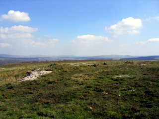 2005-08-17-15-35-29_postbridge_fur_tor_aug_05-038_postbridge_firtor.jpg 2005-08-17-15-35-29_postbridge_fur_tor_aug_05-038_postbridge_firtor.jpg postbridge_firtor