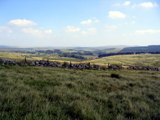 2005-08-17-15-46-50_postbridge_fur_tor_aug_05-041_postbridge_firtor.jpg 2005-08-17-15-46-50_postbridge_fur_tor_aug_05-041_postbridge_firtor.jpg postbridge_firtor