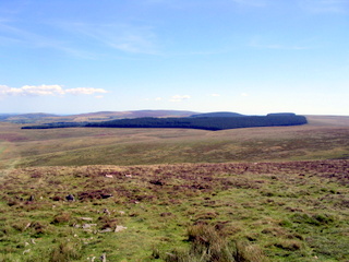 2005-08-21-13-34-45_batworthy_watern_teignhead_aug_05-033_batworthy_watern_teignhead.jpg 2005-08-21-13-34-45_batworthy_watern_teignhead_aug_05-033_batworthy_watern_teignhead.jpg batworthy_watern_teignhead