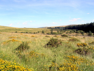 2005-08-21-15-26-13_batworthy_watern_teignhead_aug_05-037_batworthy_watern_teignhead.jpg 2005-08-21-15-26-13_batworthy_watern_teignhead_aug_05-037_batworthy_watern_teignhead.jpg batworthy_watern_teignhead