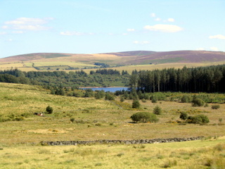 2005-08-21-15-29-55_batworthy_watern_teignhead_aug_05-038_batworthy_watern_teignhead.jpg 2005-08-21-15-29-55_batworthy_watern_teignhead_aug_05-038_batworthy_watern_teignhead.jpg batworthy_watern_teignhead