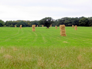 2005-08-22-12-14-21_blackdown_hills_neroche_castle_aug_05-003_blackdown_hills_neroche_castle_aug_05.jpg 2005-08-22-12-14-21_blackdown_hills_neroche_castle_aug_05-003_blackdown_hills_neroche_castle_aug_05.jpg blackdown_hills_neroche_castle_aug_05