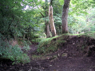2005-08-22-14-21-46_blackdown_hills_neroche_castle_aug_05-004_blackdown_hills_neroche_castle_aug_05.jpg 2005-08-22-14-21-46_blackdown_hills_neroche_castle_aug_05-004_blackdown_hills_neroche_castle_aug_05.jpg blackdown_hills_neroche_castle_aug_05