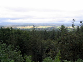 2005-08-22-15-11-33_blackdown_hills_neroche_castle_aug_05-006_blackdown_hills_neroche_castle_aug_05.jpg 2005-08-22-15-11-33_blackdown_hills_neroche_castle_aug_05-006_blackdown_hills_neroche_castle_aug_05.jpg blackdown_hills_neroche_castle_aug_05