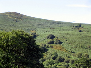 2005-09-07-10-41-12_chagford_hurston_teigncombe_sept_05-003_chagford_hurston_teigncombe.jpg 2005-09-07-10-41-12_chagford_hurston_teigncombe_sept_05-003_chagford_hurston_teigncombe.jpg chagford_hurston_teigncombe