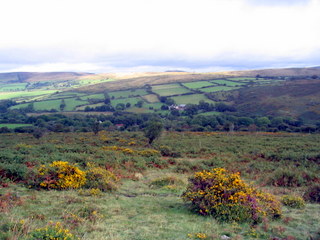 2005-09-14-12-54-27_newbridge_corndontors_sept_05-002_newbridge_corndontors.jpg 2005-09-14-12-54-27_newbridge_corndontors_sept_05-002_newbridge_corndontors.jpg newbridge_corndontors