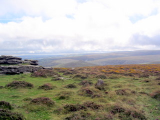2005-09-14-13-49-16_newbridge_corndontors_sept_05-009_newbridge_corndontors.jpg 2005-09-14-13-49-16_newbridge_corndontors_sept_05-009_newbridge_corndontors.jpg newbridge_corndontors