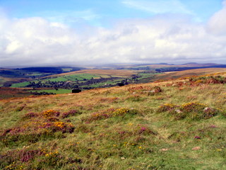 2005-09-14-13-52-55_newbridge_corndontors_sept_05-010_newbridge_corndontors.jpg 2005-09-14-13-52-55_newbridge_corndontors_sept_05-010_newbridge_corndontors.jpg newbridge_corndontors