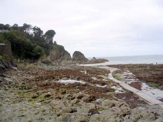 2005-09-15-12-57-41_moret_point_peninsular_sept_05-002_morte_point_peninsular_sept_05.jpg 2005-09-15-12-57-41_moret_point_peninsular_sept_05-002_morte_point_peninsular_sept_05.jpg morte_point_peninsular_sept_05