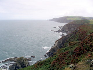 2005-09-15-14-02-32_moret_point_peninsular_sept_05-008_morte_point_peninsular_sept_05.jpg 2005-09-15-14-02-32_moret_point_peninsular_sept_05-008_morte_point_peninsular_sept_05.jpg morte_point_peninsular_sept_05