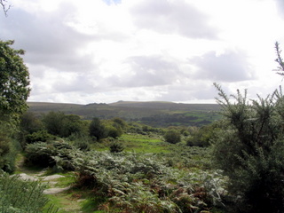 2005-09-25-13-48-25_hrroabridge_merrivale_sept_05-012_horrabridge_merrivale.jpg 2005-09-25-13-48-25_hrroabridge_merrivale_sept_05-012_horrabridge_merrivale.jpg horrabridge_merrivale