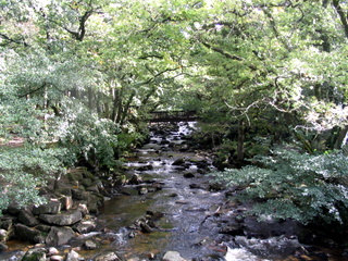 2005-10-02-12-44-08_devon_and_cornwall_oct_05-005_plym_bridge_clearbrook.jpg 2005-10-02-12-44-08_devon_and_cornwall_oct_05-005_plym_bridge_clearbrook.jpg plym_bridge_clearbrook