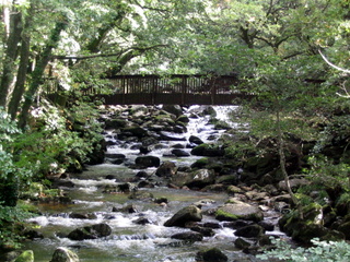 2005-10-02-12-44-16_devon_and_cornwall_oct_05-006_plym_bridge_clearbrook.jpg 2005-10-02-12-44-16_devon_and_cornwall_oct_05-006_plym_bridge_clearbrook.jpg plym_bridge_clearbrook