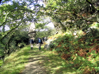 2005-10-02-12-55-37_devon_and_cornwall_oct_05-007_plym_bridge_clearbrook.jpg 2005-10-02-12-55-37_devon_and_cornwall_oct_05-007_plym_bridge_clearbrook.jpg plym_bridge_clearbrook