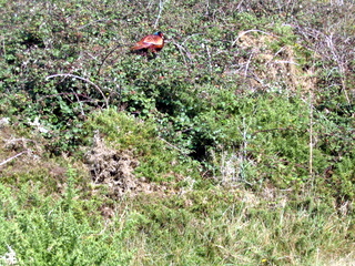 2005-10-05-14-29-56_ilfracombe_to_wollocombe_oct_05-030_ilfracombe_to_wollocombe_oct_05.jpg 2005-10-05-14-29-56_ilfracombe_to_wollocombe_oct_05-030_ilfracombe_to_wollocombe_oct_05.jpg ilfracombe_to_wollocombe_oct_05