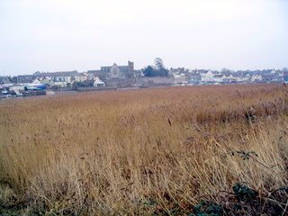 2006-01-25-13-20-18_exminster_exeter_canal-006_exminster_exeter_canal.jpg 2006-01-25-13-20-18_exminster_exeter_canal-006_exminster_exeter_canal.jpg exminster_exeter_canal