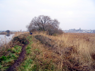 2006-01-25-13-29-39_exminster_exeter_canal-007_exminster_exeter_canal.jpg 2006-01-25-13-29-39_exminster_exeter_canal-007_exminster_exeter_canal.jpg exminster_exeter_canal