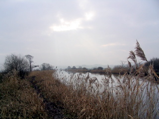 2006-01-25-13-30-42_exminster_exeter_canal-008_exminster_exeter_canal.jpg 2006-01-25-13-30-42_exminster_exeter_canal-008_exminster_exeter_canal.jpg exminster_exeter_canal
