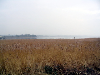 2006-01-25-13-30-51_exminster_exeter_canal-009_exminster_exeter_canal.jpg 2006-01-25-13-30-51_exminster_exeter_canal-009_exminster_exeter_canal.jpg exminster_exeter_canal