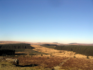 2006-01-29-15-36-25_postbridge_white_tor_bellever-014_postbridge_lower_higher_white_bellever.jpg 2006-01-29-15-36-25_postbridge_white_tor_bellever-014_postbridge_lower_higher_white_bellever.jpg postbridge_lower_higher_white_bellever