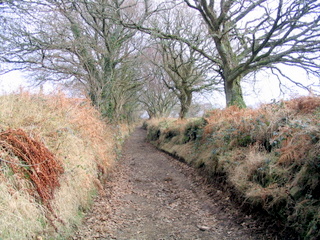 2006-01-30-13-50-14_north_bovey_easdon_tor-005_mortonhampstead_easdon_castle.jpg 2006-01-30-13-50-14_north_bovey_easdon_tor-005_mortonhampstead_easdon_castle.jpg mortonhampstead_easdon_castle