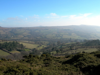 2006-02-05-10-59-26_dscn0143_widecombe_hameldown_heathercombe.jpg  widecombe_hameldown_heathercombe 