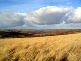 2006-02-08-16-11-01_pil_tor-011_buckland_pil_holwell_haytor_ripon.jpg  buckland_pil_holwell_haytor_ripon 