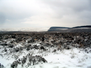 2006-02-23-14-26-06_chagford_common_water_hill-002_water_hill_stone_row.jpg 2006-02-23-14-26-06_chagford_common_water_hill-002_water_hill_stone_row.jpg water_hill_stone_row