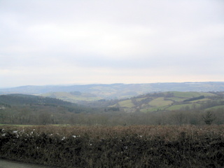 2006-02-26-12-00-17_chagford_common_coombe_down-001_chagfordcommon_shapley_coombe_down.jpg  chagfordcommon_shapley_coombe_down 
