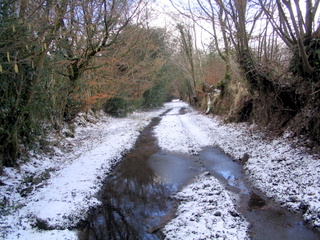 2006-03-01-12-07-08_chagford_common_coombe_down-003_chagfordcommon_shapley_coombe_down.jpg  chagfordcommon_shapley_coombe_down 