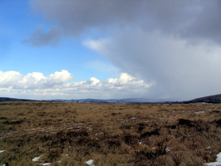 2006-03-01-13-37-10_chagford_common_coombe_down-004_chagfordcommon_shapley_coombe_down.jpg  chagfordcommon_shapley_coombe_down 