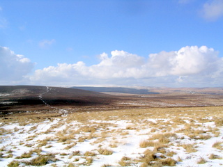 2006-03-01-15-06-28_chagford_common_coombe_down-008_chagfordcommon_shapley_coombe_down.jpg  chagfordcommon_shapley_coombe_down 