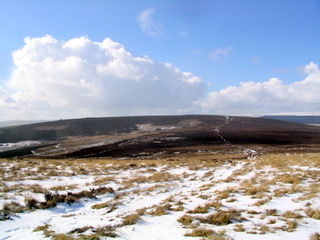 2006-03-01-15-06-32_chagford_common_coombe_down-009_chagfordcommon_shapley_coombe_down.jpg  chagfordcommon_shapley_coombe_down 