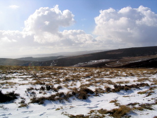 2006-03-01-15-06-37_chagford_common_coombe_down-010_chagfordcommon_shapley_coombe_down.jpg  chagfordcommon_shapley_coombe_down 