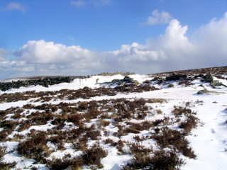 2006-03-01-15-09-28_chagford_common_coombe_down-011_chagfordcommon_shapley_coombe_down.jpg  chagfordcommon_shapley_coombe_down 