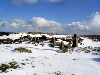 2006-03-01-15-10-12_chagford_common_coombe_down-012_chagfordcommon_shapley_coombe_down.jpg  chagfordcommon_shapley_coombe_down 