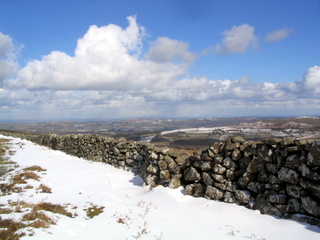 2006-03-01-15-13-21_chagford_common_coombe_down-013_chagfordcommon_shapley_coombe_down.jpg  chagfordcommon_shapley_coombe_down 