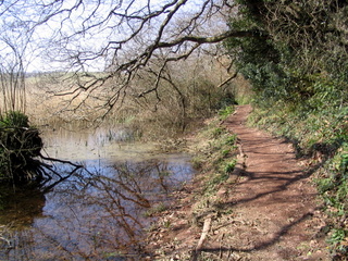 2006-03-19-14-16-19_strete_slapton-002_strete_slapton_torcross.jpg 2006-03-19-14-16-19_strete_slapton-002_strete_slapton_torcross.jpg strete_slapton_torcross