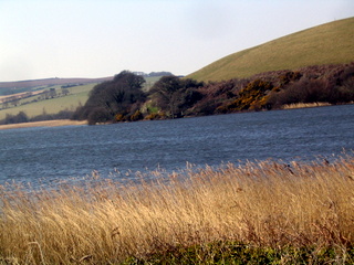 2006-03-19-14-39-01_strete_slapton-004_strete_slapton_torcross.jpg 2006-03-19-14-39-01_strete_slapton-004_strete_slapton_torcross.jpg strete_slapton_torcross